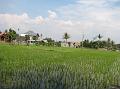 2007 07 14 BALI 045-1